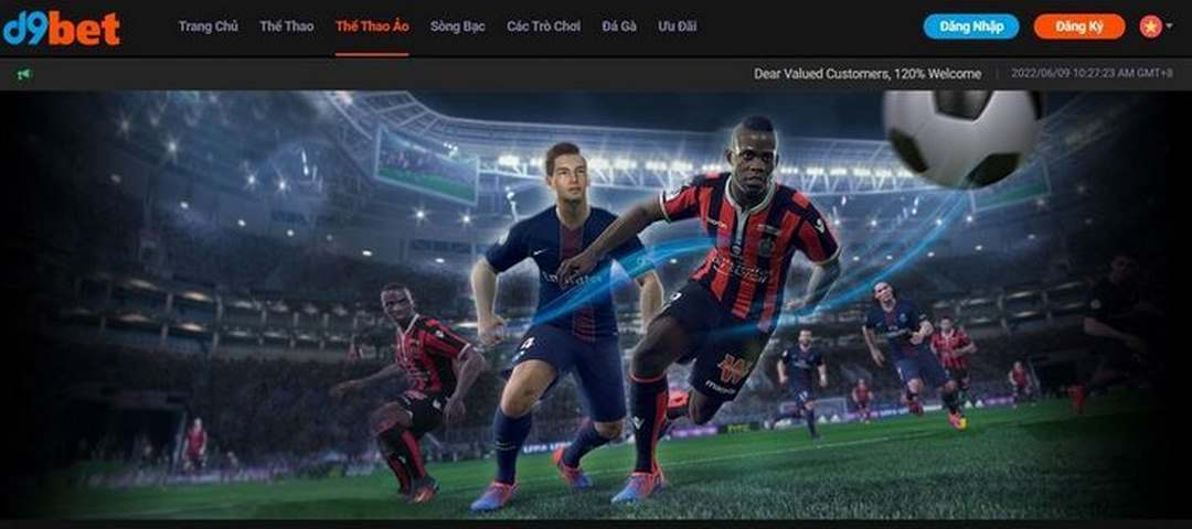 Anh em cần nắm bắt thông tin để hiểu hơn về D9bet 