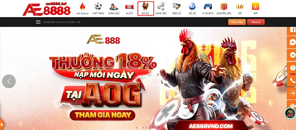 Cách hướng dẫn tham gia đá gà AE8888 từ A đến Z