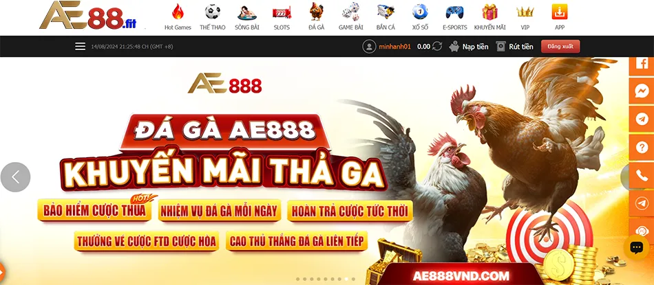 Lý đo tại sao nên chọn AE888? Ưu điểm vượt trội của nhà cái