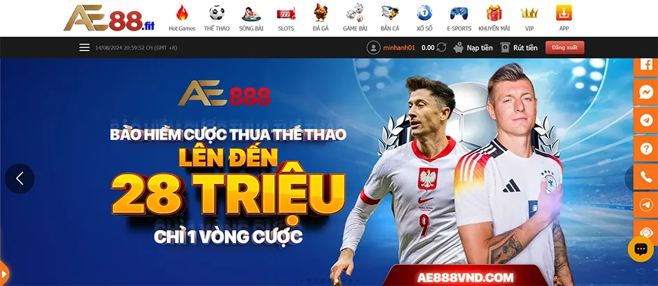 Giới thiệu tổng quan về nhà cái cá cược thể thao AE888 hàng đầu