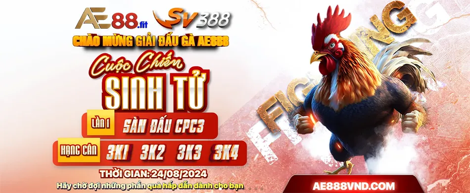 Người Chơi Trải Nghiệm Đá Gà Trực Tiếp AE888 Sống Động Và Chân Thực