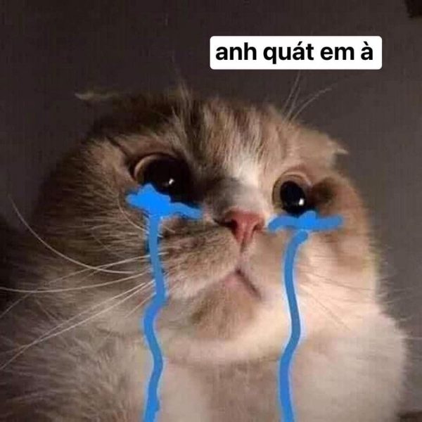Anh quat em a