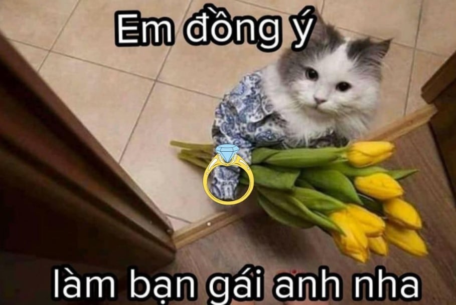 Hinh Che Meo Tang Nhan Cute Nhat