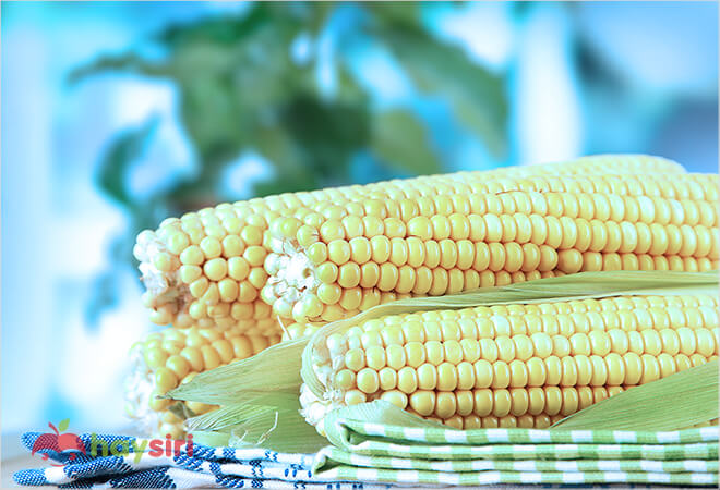 mơ thấy bắp ngô có ý nghĩa gì