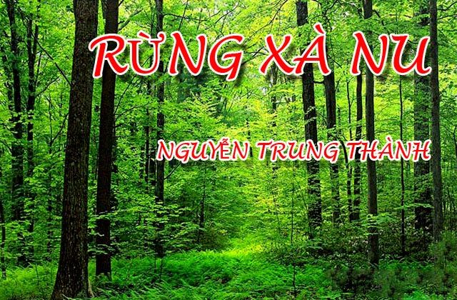 Bài văn phân tích tác phẩm 