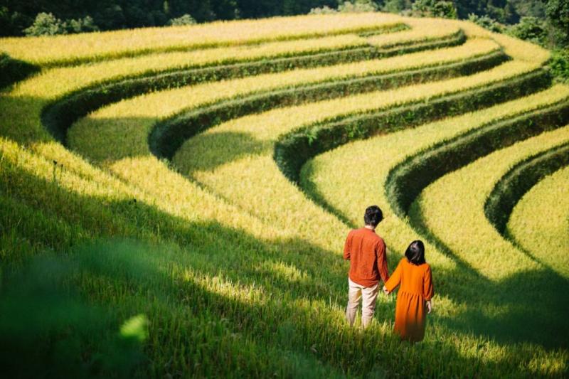 Ơi người em gái tôi yêu