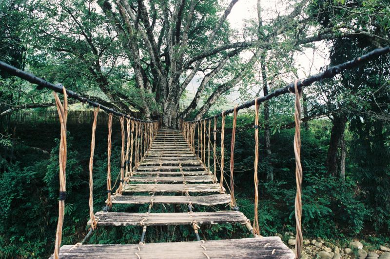 Cầu mây mê hoặc lòng người
