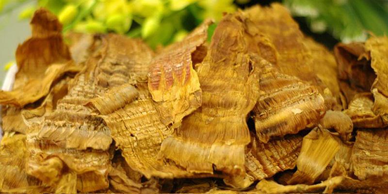 Ẩm Thực Xanh