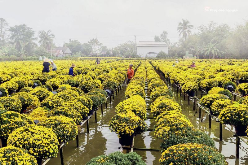 Làng hoa Sa Đéc – Đồng Tháp