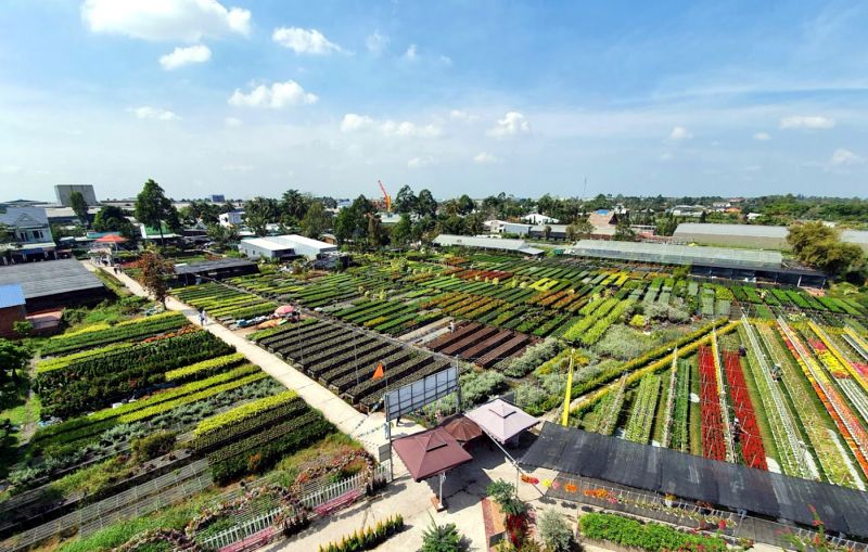 Làng hoa Sa Đéc – Đồng Tháp