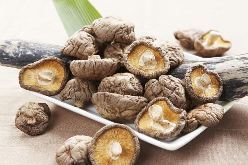 Nấm và mộc nhĩ