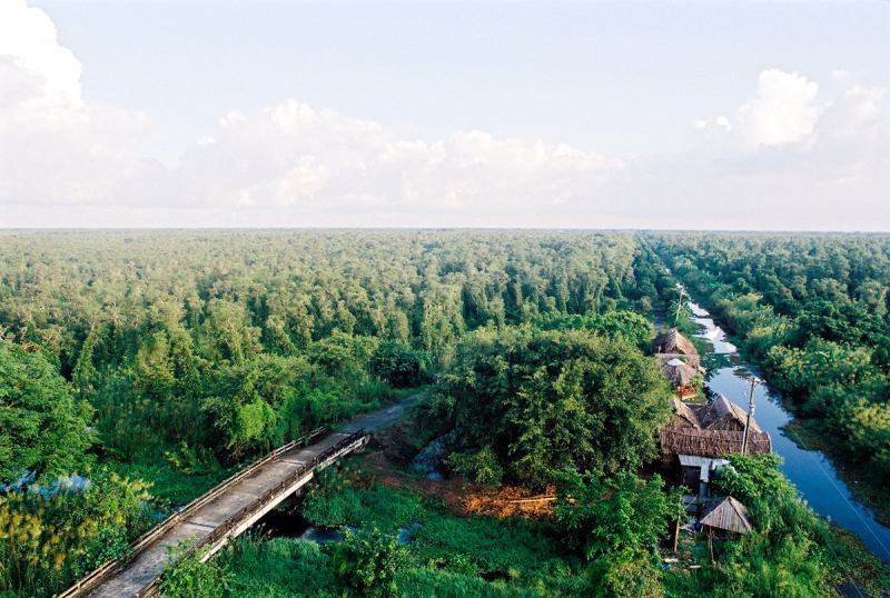 Rừng U Minh Hạ