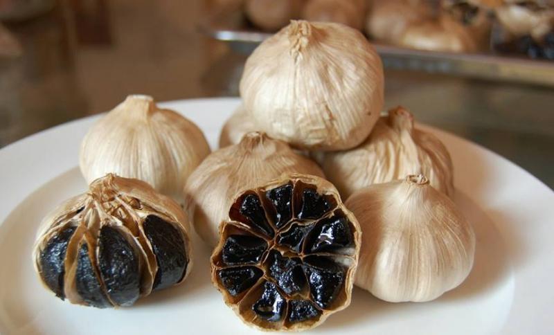 Cánh đồng tỏi Lý Sơn
